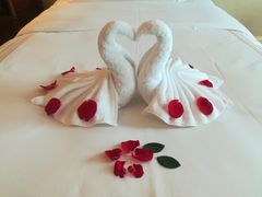 -广州富力丽思卡尔顿酒店