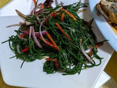 -煲来饱去冷水鱼