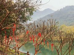 -紫云谷景区