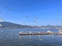 -海埂大坝