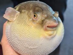 -永安鱼庄·镇江菜(东吴路店)