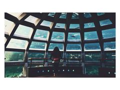 -西雅图水族馆