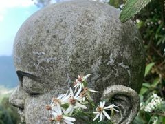 -武陵山森林公园