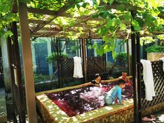 -春晖园度假酒店温泉