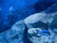 -上海玛雅海滩水公园
