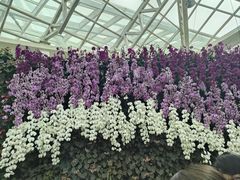 -石家庄市植物园