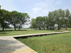 景观位-赛汗塔拉草原公园