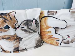 -纳吉亚猫专科动物诊疗中心(蒋宅口分院)