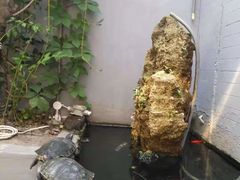 景观位-后海16号·北京私房菜