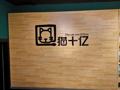 -猫十亿·布偶金渐层·曼基康矮脚猫舍(青年路店)