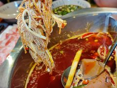 -重庆锦火锅(惠福东路店)