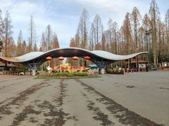 -东平国家森林公园