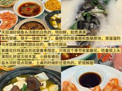 -紫藤园·天目湖大鱼头(南山竹海店)