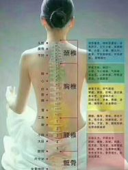 点击看大图 -香薇妮丝女子减肥院