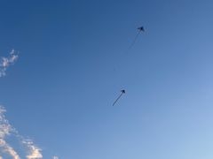 -汉长安城未央宫国家考古遗址公园