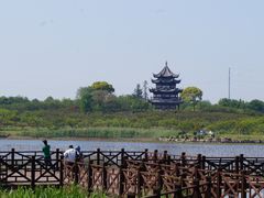 -上海海湾国家森林公园