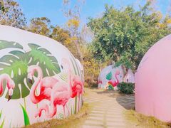 -漳州滨海火山岛自然生态风景区