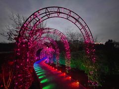 -福建鲤鱼洲酒店