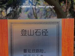 -黄埔油麻山森林公园