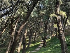-七曲山风景区