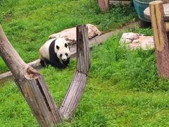 -沈阳森林动物园