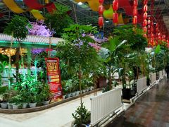 -新世纪绿洲(抚顺店)