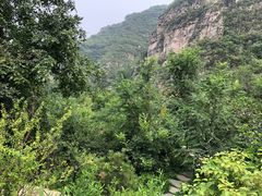 -幽岚山·童话森林