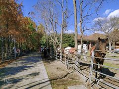 -上海海湾国家森林公园