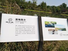 -桤木河湿地公园