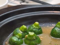 -滇铺子·云南特色菜·第九届野生菌美食节(东风东路c86店)