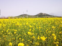 -西海岸生态观光园