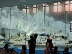 -帝企鹅自助餐厅•儿童岛•真企鹅(长隆企鹅酒店)