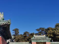 -清东陵