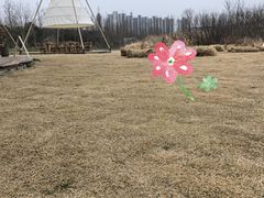 -长田漾湿地公园