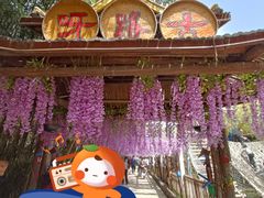 -呀路古热带植物园