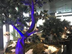 -绿茶餐厅(成都大悦城店)