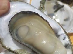 -蚝专家(北滘店)