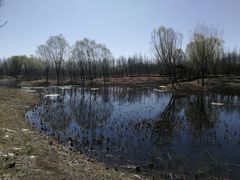 -东郊湿地公园