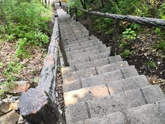 -茅兰沟国家森林公园