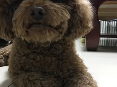 -康乐宝动物医院