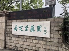 -嘉定紫藤园