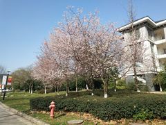 -晓庄学院-食堂