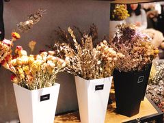 -Blueglass酸奶(财富购物中心店)