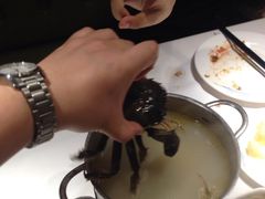 -星伦多自助料理(花山金鹰店)