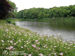 -昆山城市生态森林公园