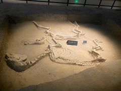 -洛阳周王城天子驾六博物馆