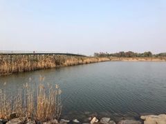 -上海滴水湖皇冠假日酒店