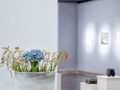 -南京书画院金陵美术馆