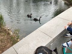 -长白岛森林公园