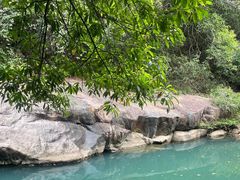 -广州白江湖森林公园